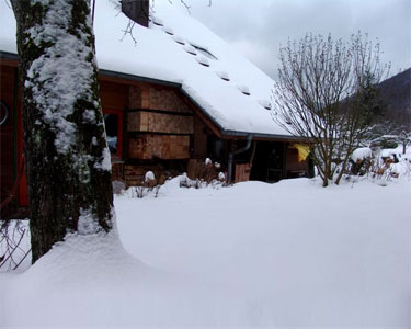 Fachversand